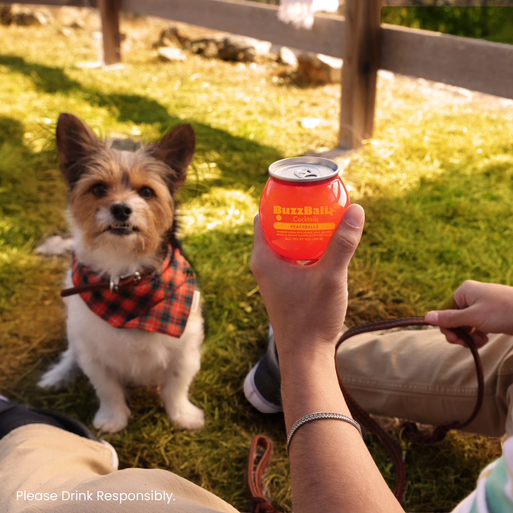 We wouldn’t recommend playing fetch with our ballz, but we do recommend spending National Dog Day with your paw-some pal and a refreshing cocktail.