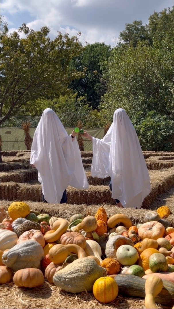 Looks like ghosts to us